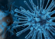 中国官方发布疫情形势通告，新冠及其他传染病平稳控制